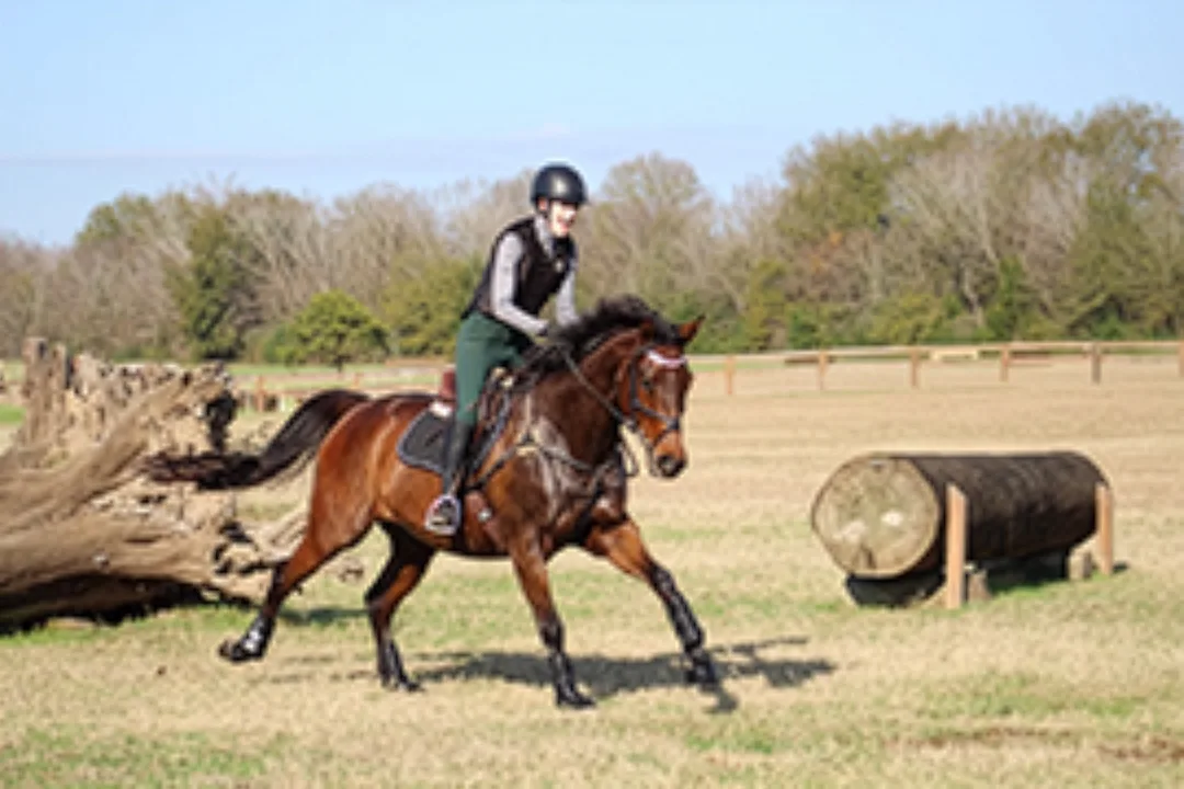 Un caballo alazán y su jinete galopando en un campo de práctica de cross-country cerca de obstáculos de troncos.