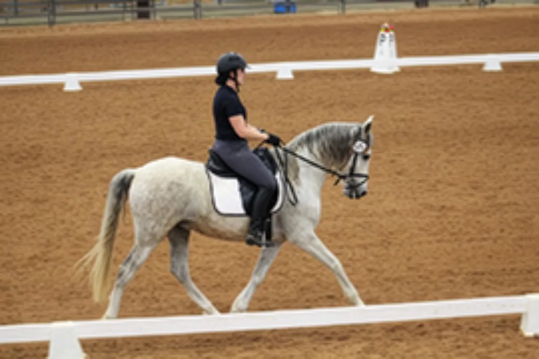 Una persona con casco negro montando un caballo gris junto al borde de una arena de doma con tablas blancas de límite.